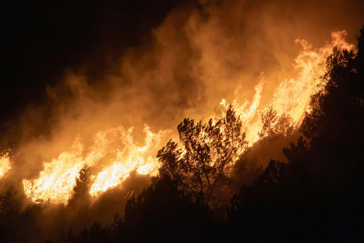 Incendio provocato dai cambiamenti climatici, simbolo della crisi ambientale globale